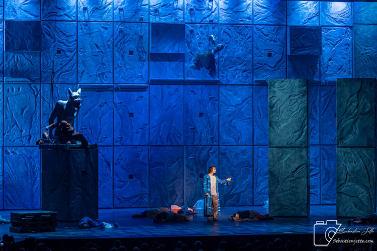 GIAN MARCO SCHIARETTI Gringoire