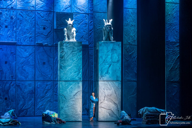 GIAN MARCO SCHIARETTI Gringoire