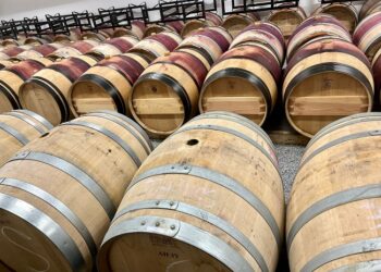 Le Circuit des vignobles, un bon départ pour l’oenotourisme