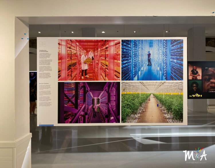 Découvrez les meilleures photos du World Press Photo avant qu’il ne soit trop tard !