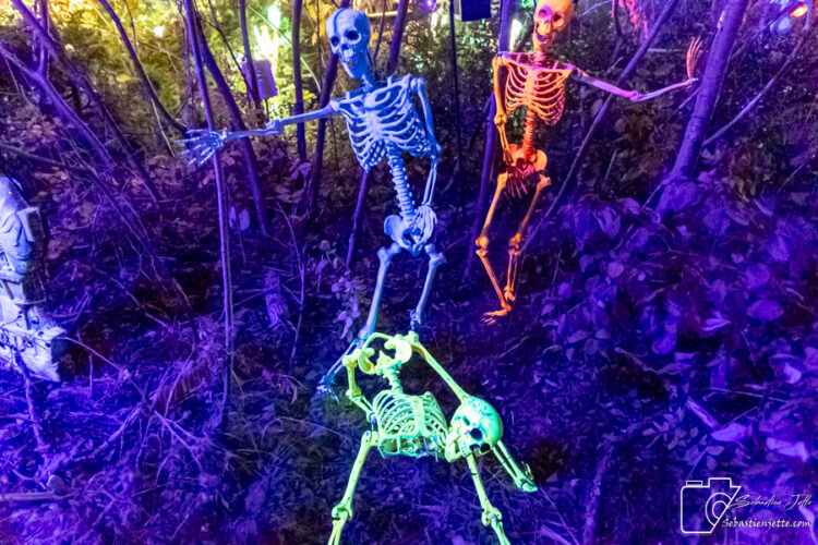 illumi en mode Halloween pour le début de sa 5e saison