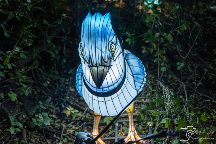 illumi en mode Halloween pour le début de sa 5e saison