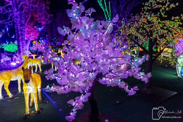 illumi en mode Halloween pour le début de sa 5e saison
