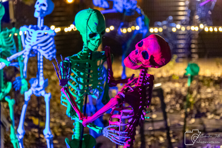 illumi en mode Halloween pour le début de sa 5e saison