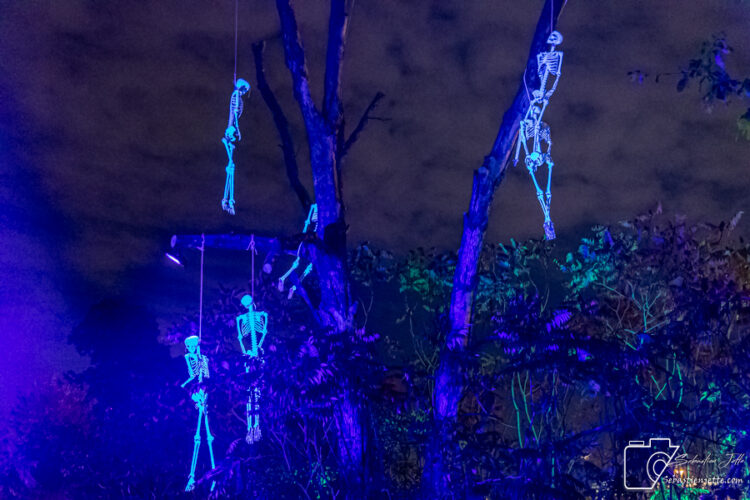 illumi en mode Halloween pour le début de sa 5e saison