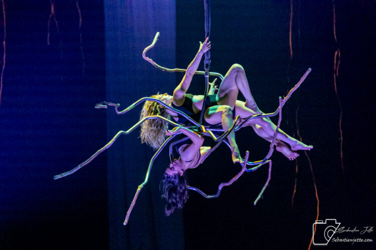 NYX par Johanne Madore / Pierre Przysiezniak / Collectif Chimère