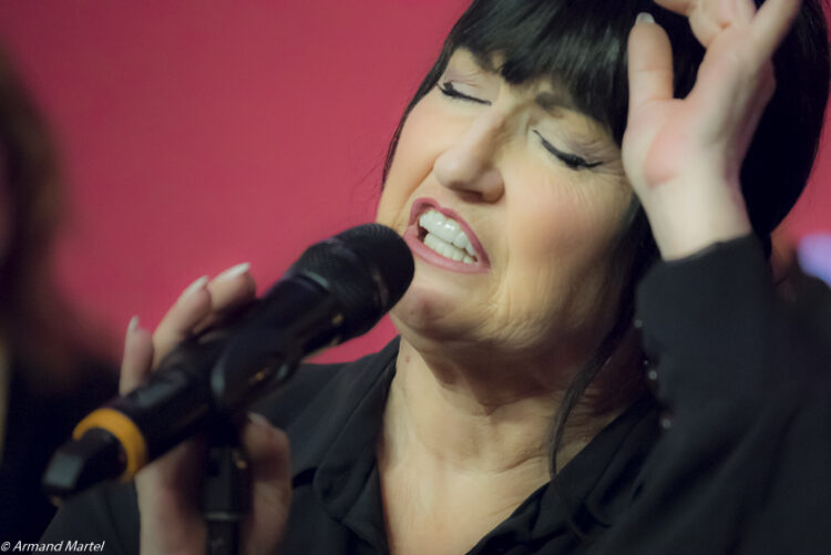 «Noël une tradition en chanson»: rencontre avec les artistes de la 6e édition