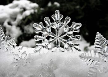 Reconnaissance à nos lecteurs et gratitude auprès de nos collaborateurs passionnés