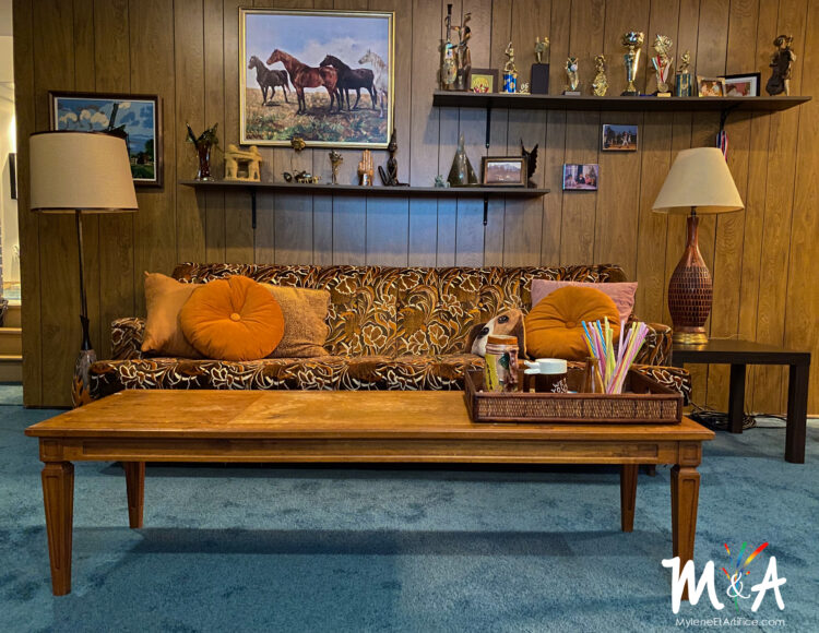 On ramassera demain : on regarde ce soir