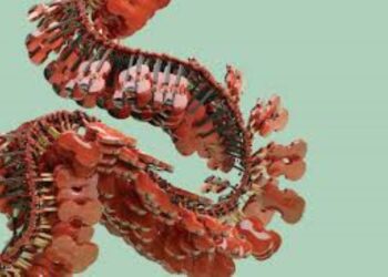 Orchestre Métropolitain : quand le sable s’invite au concert…