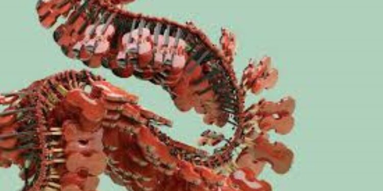 Orchestre Métropolitain : quand le sable s’invite au concert…