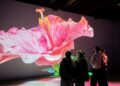 «Nature vive» : des images spectaculaires!