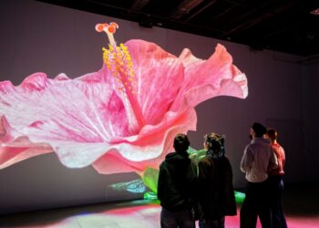 «Nature vive» : des images spectaculaires!