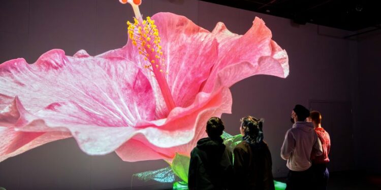 «Nature vive» : des images spectaculaires!