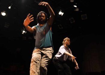 Éclats de Papillon : une danse entre l’ordre et le désordre