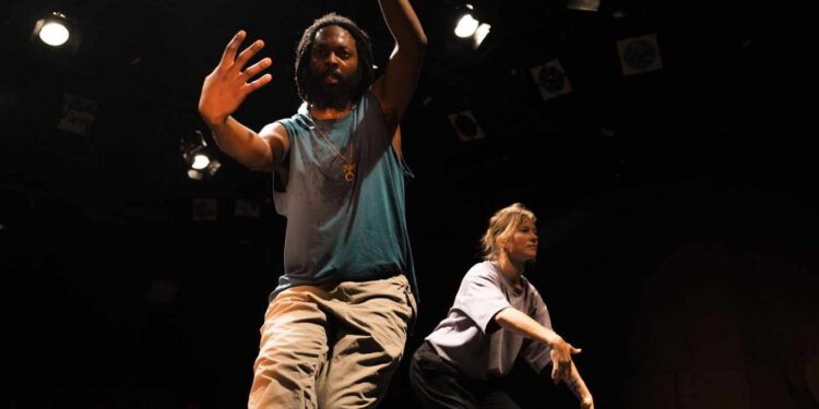 Éclats de Papillon : une danse entre l’ordre et le désordre