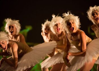 Danse Danse: Le lac des cygnes, en eaux troubles!