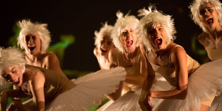 Danse Danse: Le lac des cygnes, en eaux troubles!