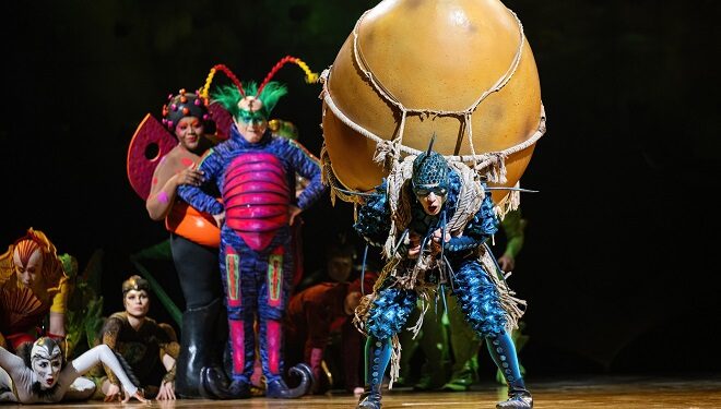 OVO du Cirque du Soleil : Un spectacle féérique pour petits et grands en décembre