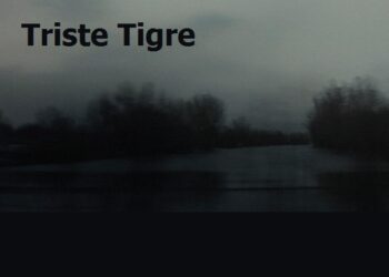 Triste Tigre : Un récit bouleversant