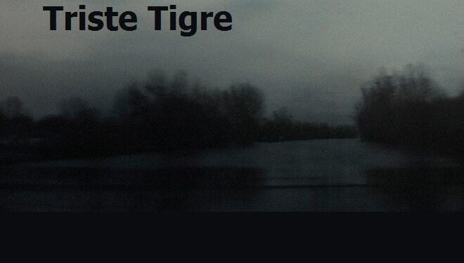 Triste Tigre : Un récit bouleversant