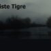 Triste Tigre : Un récit bouleversant