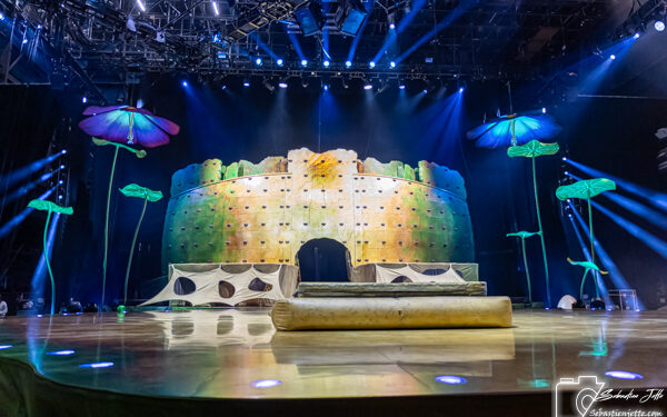 Grand retour des insectes! OVO du Cirque du Soleil au Centre Bell – Billets ici