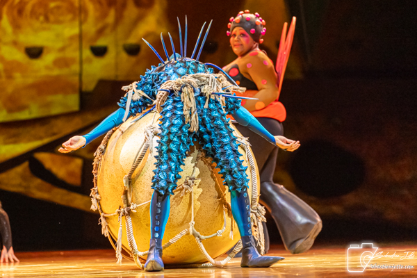 OVO du Cirque du Soleil : Une immersion dans un monde miniature