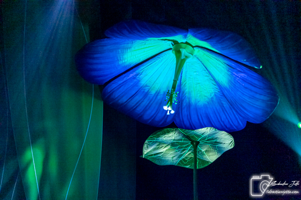 OVO du Cirque du Soleil : Une immersion dans un monde miniature