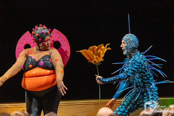 OVO du Cirque du Soleil : Une immersion dans un monde miniature