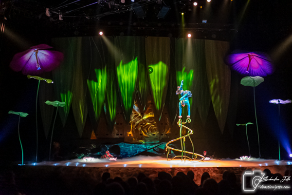 OVO du Cirque du Soleil : Une immersion dans un monde miniature