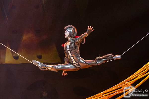 OVO du Cirque du Soleil : Une immersion dans un monde miniature