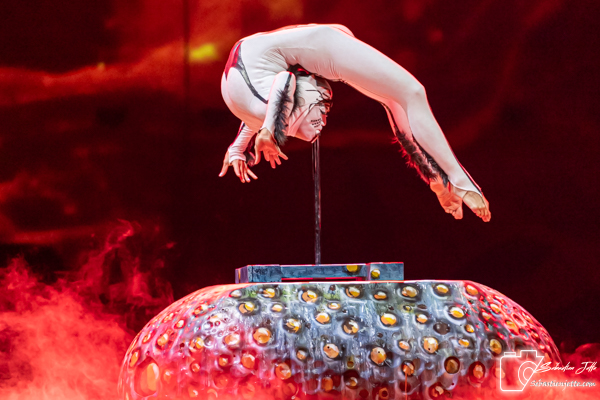 OVO du Cirque du Soleil : Une immersion dans un monde miniature