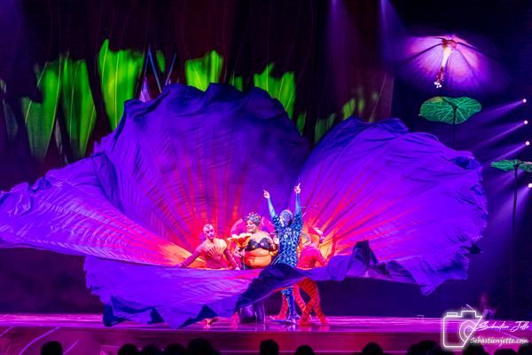 OVO du Cirque du Soleil : Une immersion dans un monde miniature