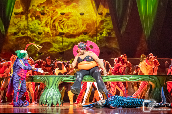 OVO du Cirque du Soleil : Une immersion dans un monde miniature