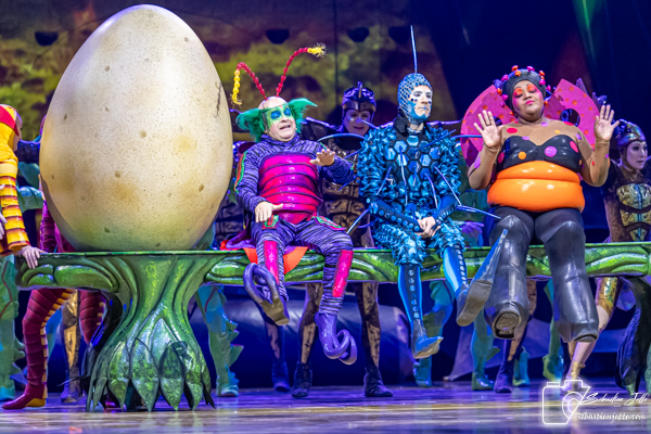 OVO du Cirque du Soleil : Une immersion dans un monde miniature
