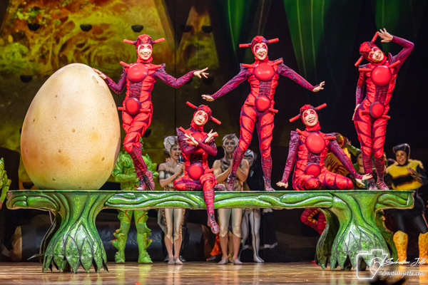 OVO du Cirque du Soleil : Une immersion dans un monde miniature