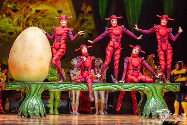 OVO du Cirque du Soleil : Une immersion dans un monde miniature
