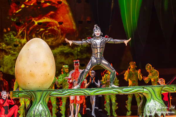 OVO du Cirque du Soleil : Une immersion dans un monde miniature