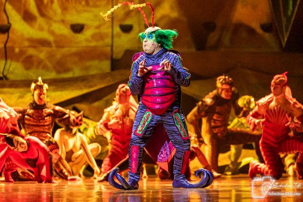 OVO du Cirque du Soleil : Une immersion dans un monde miniature