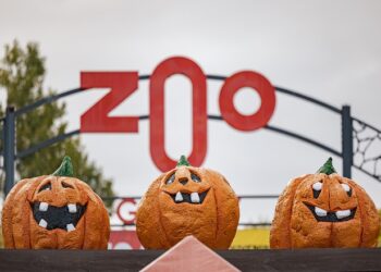 Le Zoo de Granby célèbre l’Halloween entre frissons, magie et nature vivante
