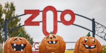 Le Zoo de Granby célèbre l’Halloween entre frissons, magie et nature vivante
