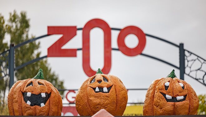 Le Zoo de Granby célèbre l’Halloween entre frissons, magie et nature vivante