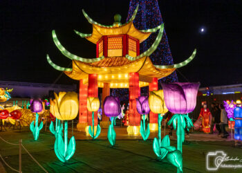 FESTILUMI lance son parcours lumineux grandiose au Marché Central !
