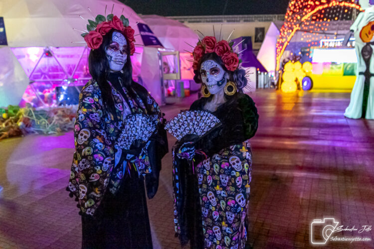 FESTILUMI lance son parcours lumineux grandiose au Marché Central !