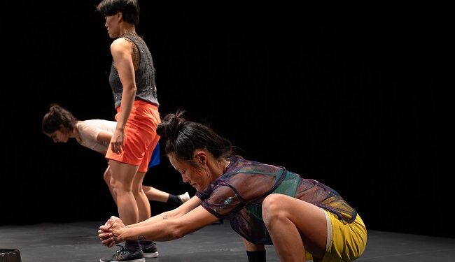 L&rsquo;éveil des racines : Quand le « SQUAT » de Kim-Sanh Châu devient manifeste