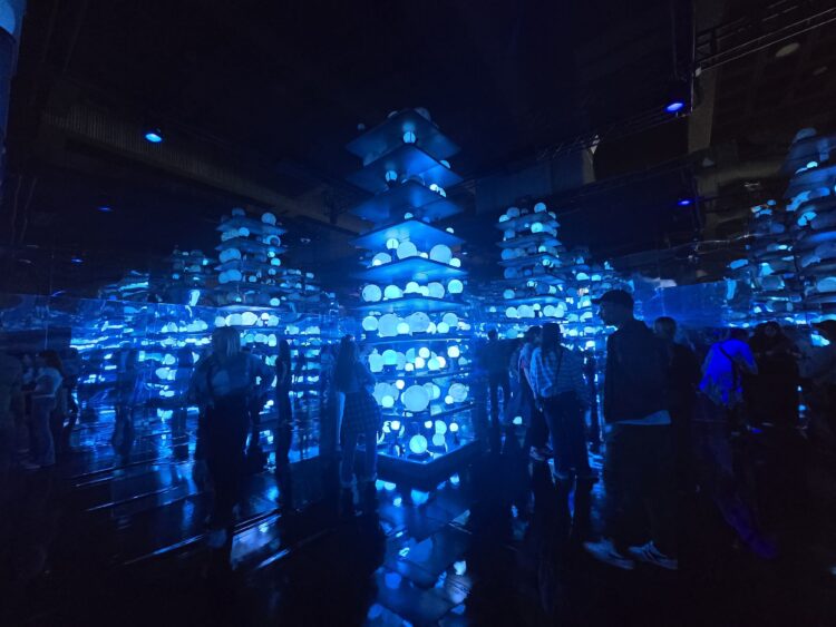 Harry Potter : Visions de la Magie. Une Odyssée Sensorielle au Cœur de l’Invisible