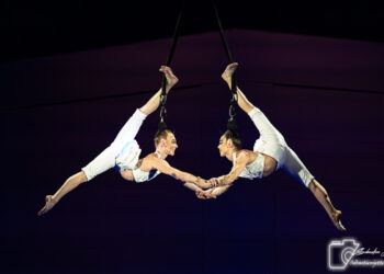 Echo du Cirque du Soleil : Quand la poésie visuelle opère une seconde fois