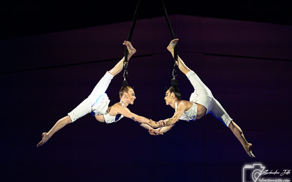 Echo du Cirque du Soleil : Quand la poésie visuelle opère une seconde fois