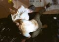 FTA avec Bottommost : Quand la tendresse sort ses crocs